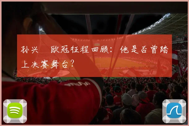 孙兴慜欧冠征程回顾：他是否曾踏上决赛舞台？