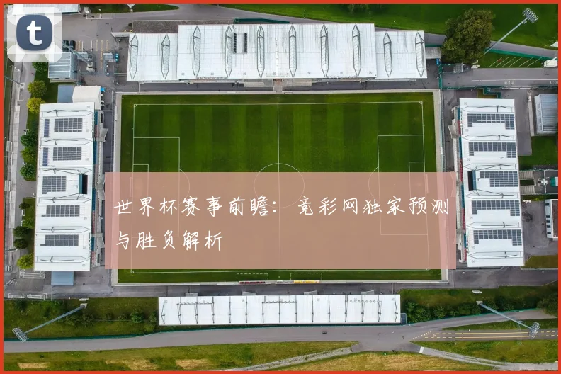 世界杯赛事前瞻：竞彩网独家预测与胜负解析