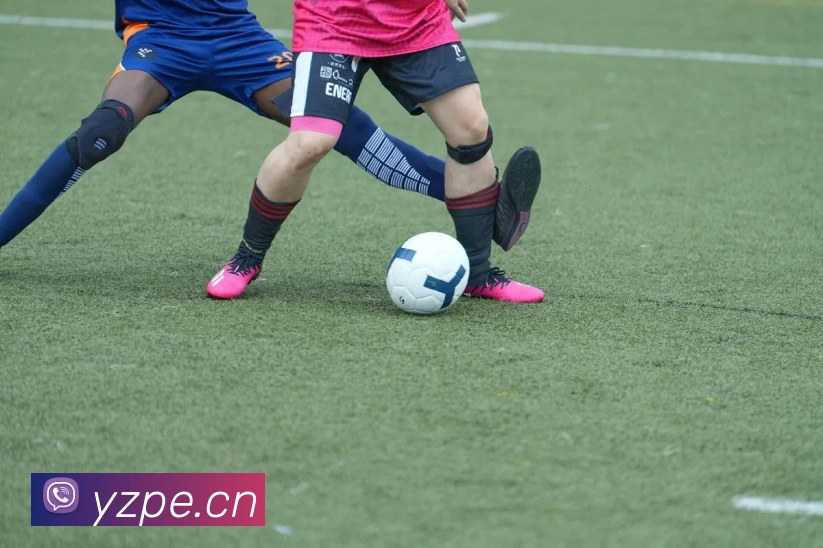 开云在线手机登陆服务体系